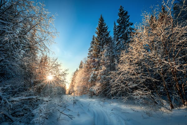 Обои Андрей Чиж, пейзаж, Пермский край, зима, солнце, лес, ели, деревья, лучи, дорога, Урал, природа, снег