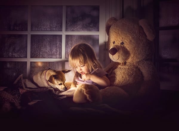 Обои Jessica Drossin, собака, подоконник, игрушка, малышка, ребёнок, вечер, одеяло, девочка, друг, окно, мишка, животное, медведь, пёс