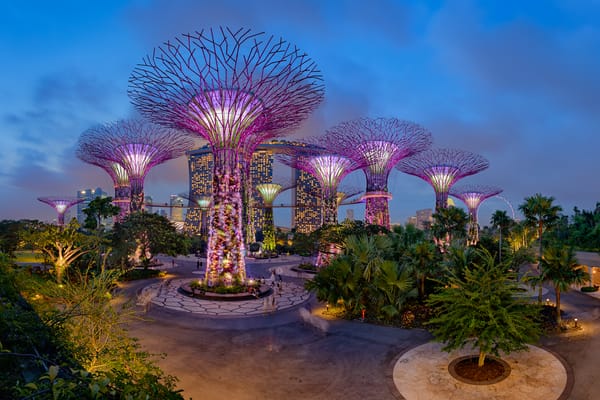 Обои ночь, сад, деревья, сингапур, пальмы, gardens by the bay, дизайн, парк, огни