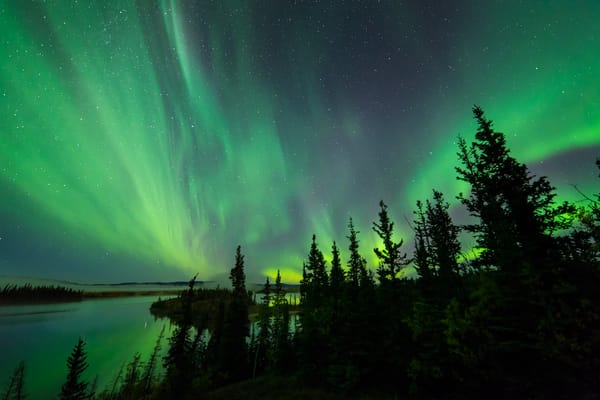 Обои небо, озеро, деревья, силуэты, северное сияние, aurora borealis, северные огни