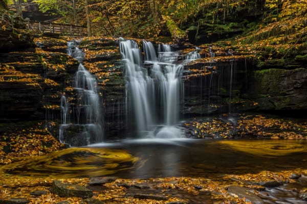 Обои листья, ricketts glen state park, водопад, каскад, штат пенсильвания, пенсильвания, осень