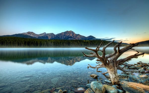 Обои reflection, landscape