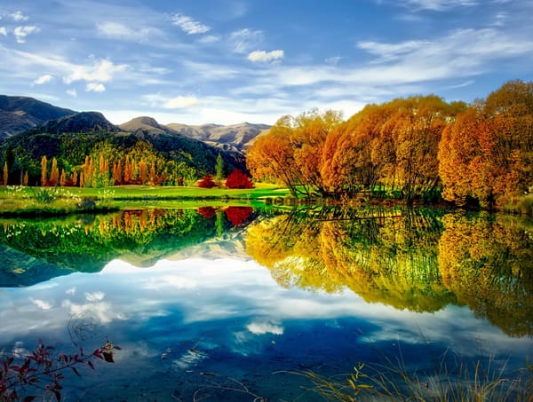 Обои colors, autumn, reflection