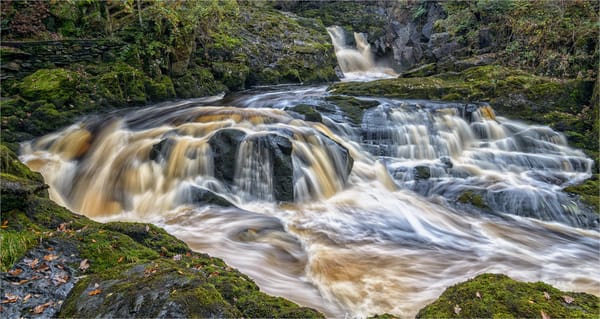 Обои england, ingleton, Beezley falls, инглтон, north yorkshire, ingleton waterfalls trail