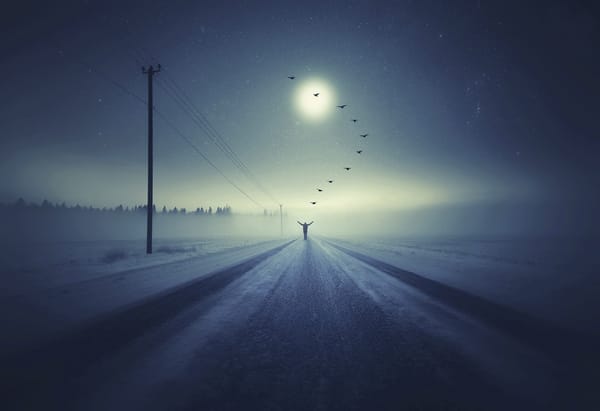 Обои человек, птицы, Going to heaven, фантазия, зимняя дорога
