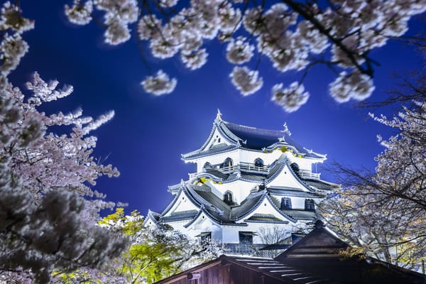 Обои Japan, Hikone castle, Япония, замок хиконэ, hikone, Весна