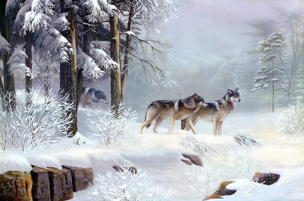 Обои волки, лес, зима, рисунок